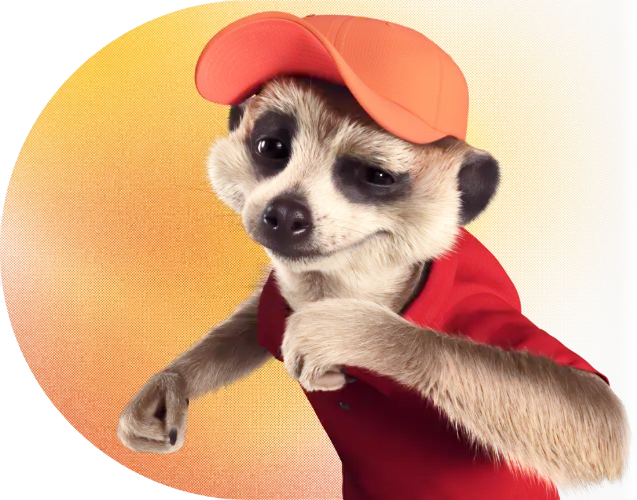 Obrázek v hero sekci