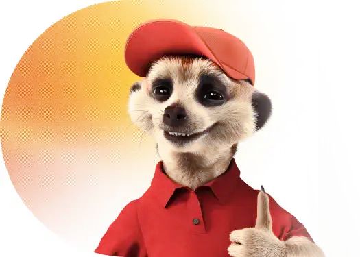 surikata s palcem nahoru